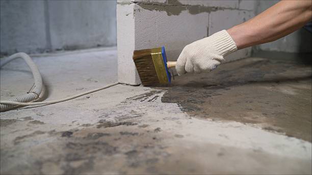 24/7 Emergency Exterior Waterproofing experts in Saint Charles, MI